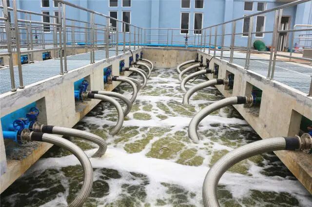 污水如何处理?一起来涨知识